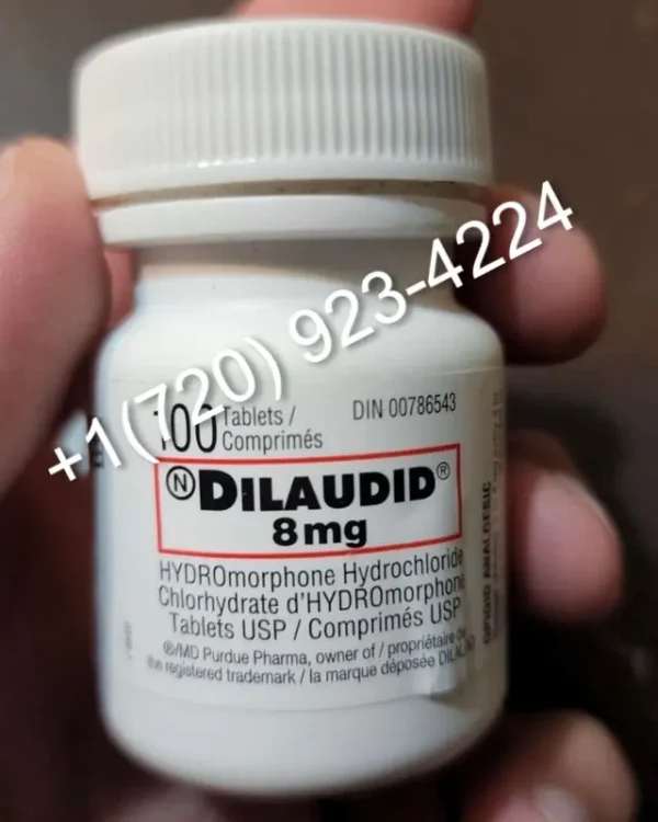 Dilaudid 8mg